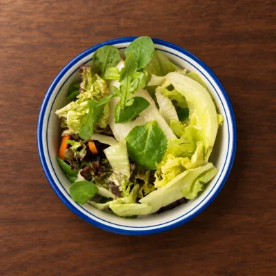 Grüner Salat